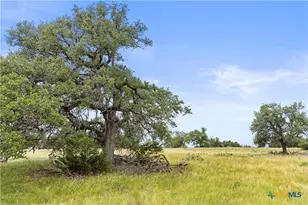 3049 Reservation Rd, Harper, TX 78631 - Photo 28