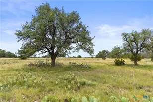 3049 Reservation Rd, Harper, TX 78631 - Photo 30