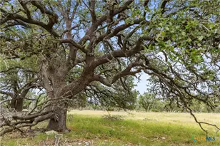 3049 Reservation Rd, Harper, TX 78631 - Photo 22