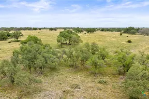 3049 Reservation Rd, Harper, TX 78631 - Photo 48