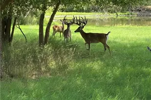 10745 Rosemar Ln, Adkins, TX 78101 - Photo 28