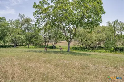 10745 Rosemar Lane, Adkins, TX 78101 - Photo 24