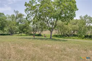 10745 Rosemar Ln, Adkins, TX 78101 - Photo 24