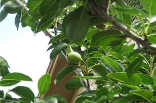 310 Rattan Dr, Victoria, TX 77901 - Photo 28