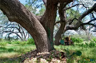 2725 Old Lehmann Rd, Kingsbury, TX 78638 - Photo 24