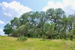 2725 Old Lehmann Rd, Kingsbury, TX 78638 - Photo 36