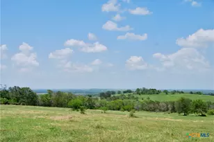 2725 Old Lehmann Rd, Kingsbury, TX 78638 - Photo 30