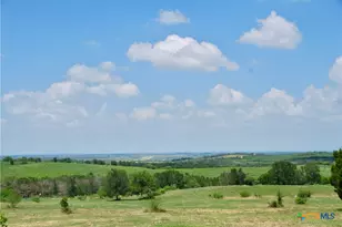 2725 Old Lehmann Rd, Kingsbury, TX 78638 - Photo 2