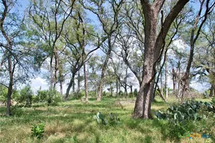 2725 Old Lehmann Rd, Kingsbury, TX 78638 - Photo 40