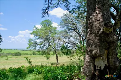 2725 Old Lehmann Road, Kingsbury, TX 78638 - Photo 28