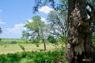 2725 Old Lehmann Rd, Kingsbury, TX 78638 - Photo 28