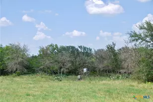 2725 Old Lehmann Rd, Kingsbury, TX 78638 - Photo 34