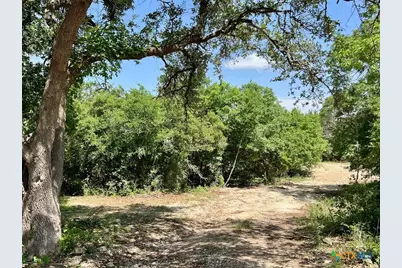 1698 S US  281 Highway, Blanco, TX 78606 - Photo 8