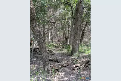 Tract 1 County Road 4390, Kempner, TX 76539 - Photo 6