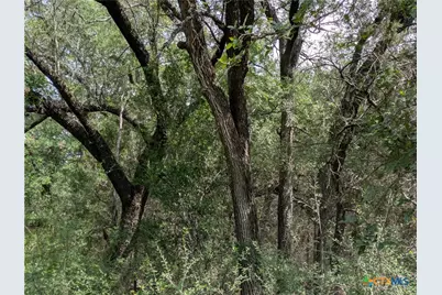 Tract 1 County Road 4390, Kempner, TX 76539 - Photo 8