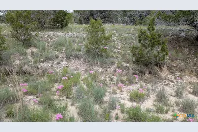 Tract 1 County Road 4390, Kempner, TX 76539 - Photo 12