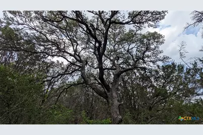 Tract 1 County Road 4390, Kempner, TX 76539 - Photo 10