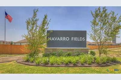 1009 Seedling Lane, Seguin, TX 78155 - Photo 28