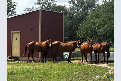 1315 Crossfire Trail, Killeen, TX 76542 - Photo 24