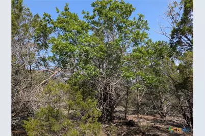 Tract 3 County Road 4390, Kempner, TX 76539 - Photo 6