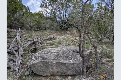 Tract 3 County Road 4390, Kempner, TX 76539 - Photo 8