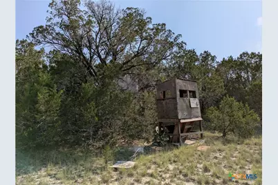 Tract 4 County Road 4390, Kempner, TX 76539 - Photo 4