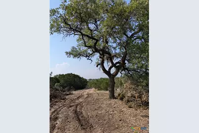 Tract 5 County Road 4390, Kempner, TX 76539 - Photo 6