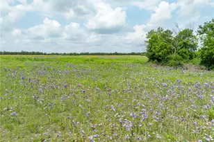 Lot 4 County Road 426, Evant, TX 76525 - Photo 38