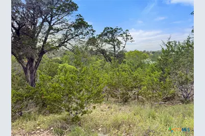 128 Enigma Avenue, Spring Branch, TX 78070 - Photo 4