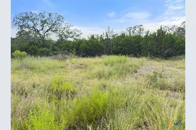 110 Enigma Avenue, Spring Branch, TX 78070 - Photo 6