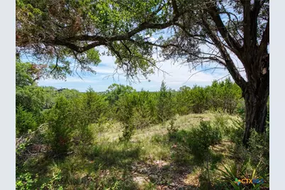 114 Oyster Springs, Canyon Lake, TX 78133 - Photo 2