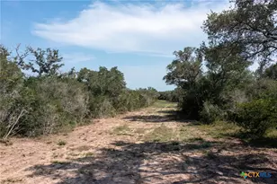 2615 Ykt Slickfield Rd, Yorktown, TX 78164 - Photo 24