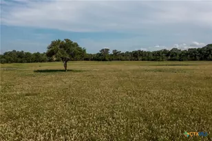 2615 Ykt Slickfield Rd, Yorktown, TX 78164 - Photo 6