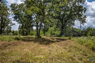 000 Fm 766, Cuero, TX 77954 - Photo 48