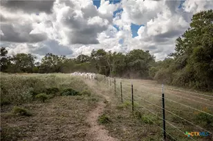 000 Fm 766, Cuero, TX 77954 - Photo 30