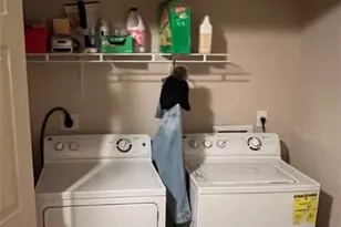 801 and 803 S Live Oak St, Lampasas, TX 76550 - Photo 22