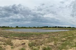 19621 Fm 2115, Salado, TX 76571 - Photo 8