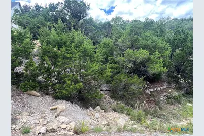 1597 Trail Pass Drive, Canyon Lake, TX 78133 - Photo 4