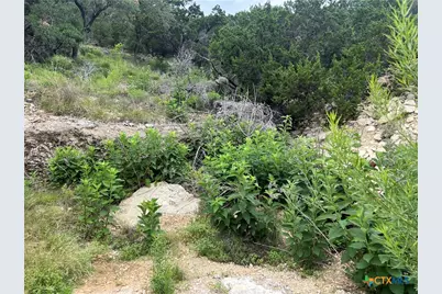 1609 Trail Pass Drive, Canyon Lake, TX 78133 - Photo 2