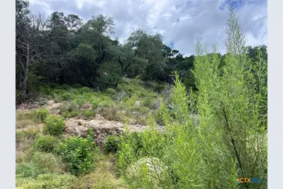 1609 Trail Pass Drive, Canyon Lake, TX 78133 - Photo 4