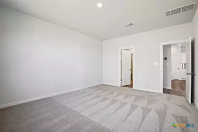 148 Cutleaf Cove, San Marcos, TX 78666 - Photo 12