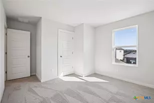 148 Cutleaf Cove, San Marcos, TX 78666 - Photo 18