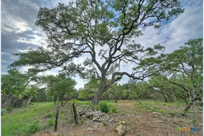 11916 Jim Bridger Drive, Austin, TX 78737 - Photo 6