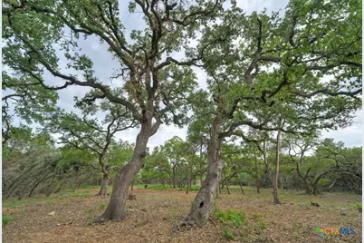 11916 Jim Bridger Drive, Austin, TX 78737 - Photo 22
