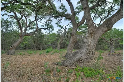 11916 Jim Bridger Drive, Austin, TX 78737 - Photo 20