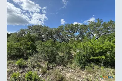 211 Hunters Glen Road, San Marcos, TX 78666 - Photo 12