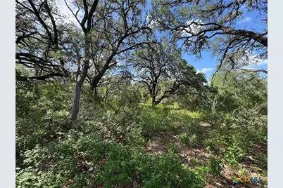 211 Hunters Glen Road, San Marcos, TX 78666 - Photo 10