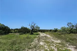 Lot 111 Shin Oak Dr, Lampasas, TX 76550 - Photo 4