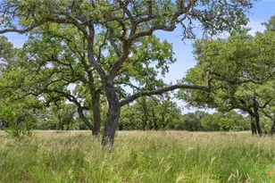 1241 Sandy Oaks Ranch Rd, Johnson City, TX 78636 - Photo 28