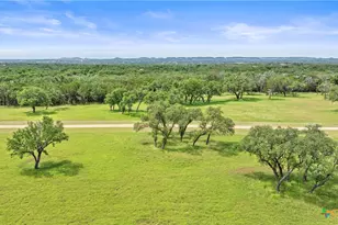 1241 Sandy Oaks Ranch Rd, Johnson City, TX 78636 - Photo 10